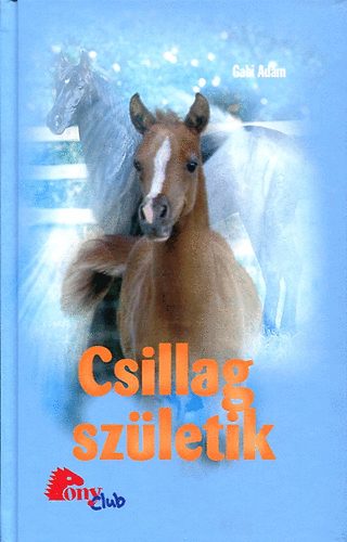 Gabi Adam - Csillag szletik (Pony Club)