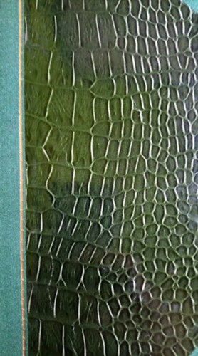 Moln�r Aur�l - Moldvaparti eml�kk�nyv