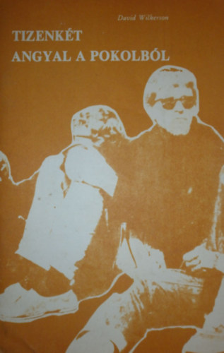 David Wikerson - Tizenkét angyal a pokolból