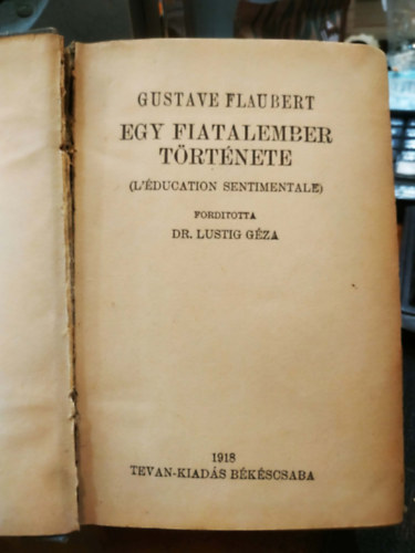 Gustave Flaubert - Egy fiatalember története