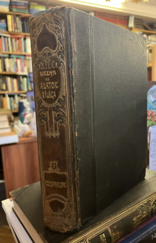 Bálint Sándor - Az állatok világa VII.- Csúszómászók és kétéltűek