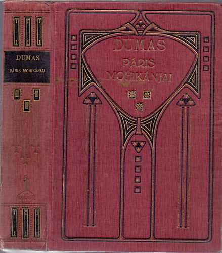 Alexandre Dumas - Pris mohiknjai