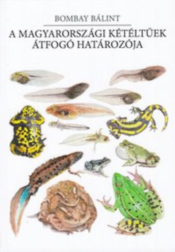 Bombay B�lint - Magyarorsz�gi k�t�lt�ek �tfog� hat�roz�ja