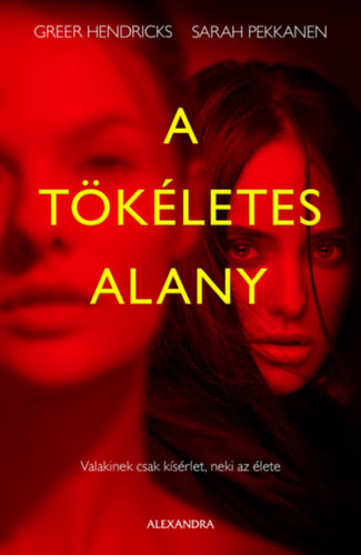 Sarah Pekkanen Greer Hendricks - A tkletes alany