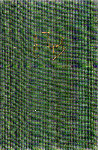 Tschechow - Ein lesebuch für unsere Zeit