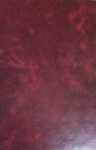 Forgó bácsi - Kis Lap - képes gyermek-ujság LXII kötet 1-26