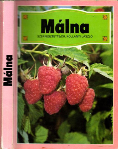Dr. Koll�nyi L�szl� - M�lna