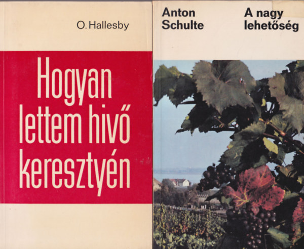H.E. Fosdick, O. Hallesby, Anton Schulte Werner Gitt - 4 db vallási könyv: A nagy lehetőség + Hogyan lettem hívő keresztyén + A Biblia a modern ember kezében + Logosz vagy káosz