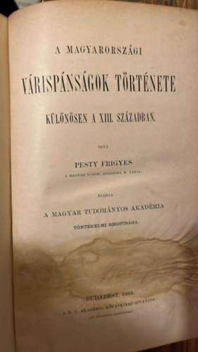 Pesty Frigyes - A Magyarorszgi vrispnsgok trtnete klnsen a XIII. szzadban