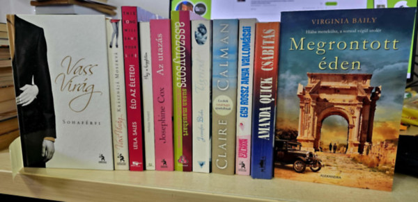 Leila Sales, Melissa Moretti, Josephine Cox, Susan Maushart, Jennifer Blake, Claire Calman, Stephanie Calman, Amanda Quick, Virginia Baily Vass Virg - 11db romantika, KNYVMENT AJNLAT: Sohafrfi+ Krsznj Moszkva+ ld az leted!+ Hz a hegytetn+ Az utazs+ Asszonysors+ Tigrisn+ Leckk vasrnapi apukknak+ Egy rossz anya vallomsai+ Csbts+ Megrontott den