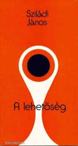 Szil�di J�nos - A lehet�s�g