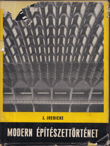 Jrgen Joedicke - Modern ptszettrtnet