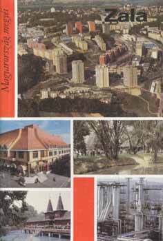 Moln�r M�t� - Magyarorsz�g megy�i - Zala