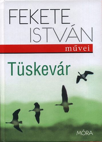 Fekete Istvn - Tskevr