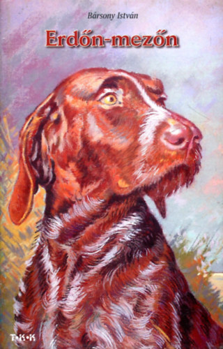 B�rsony Istv�n - Erd�n, mez�n