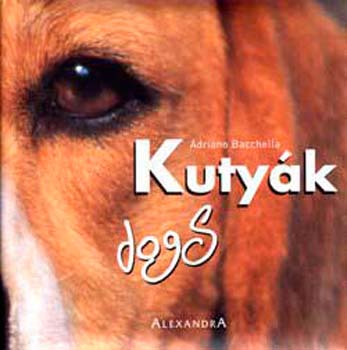 Adriano Bacchella - Kuty�k - dogs