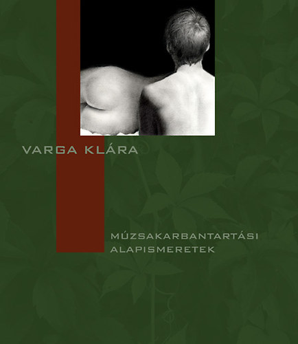 Varga Klra - Mzsakarbantartsi alapismeretek