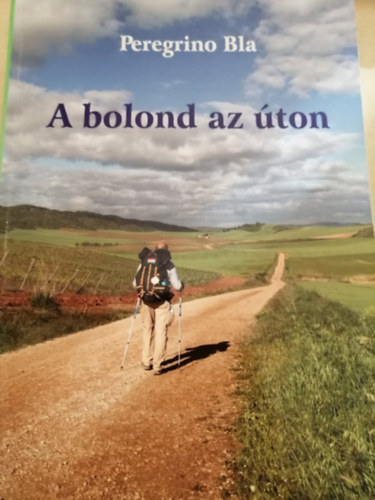 A bolond az ton