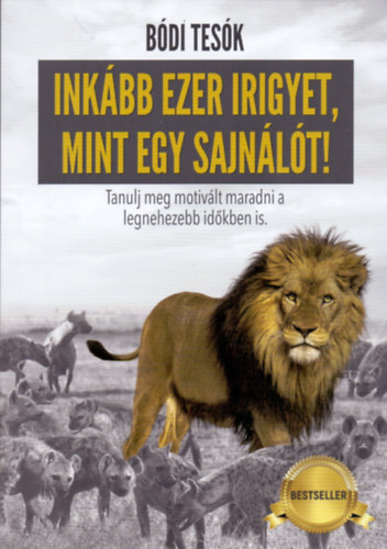 Bódi Tesók - Inkább ezer irigyet, mint egy sajnálót! - Ha vannak álmaid, akkor mindig lesznek olyanok, akik a Te bukásodat fogják várni. (Brother&Brother Company Kft.)