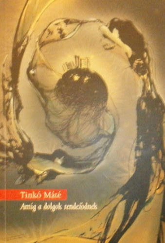 Tinkó Máté - Amíg a dolgok rendeződnek