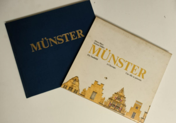 nincs megadva - Mnster. Ein Stadtbild