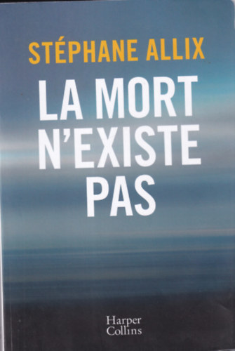 Stphane Allix - La mort n'existe pas