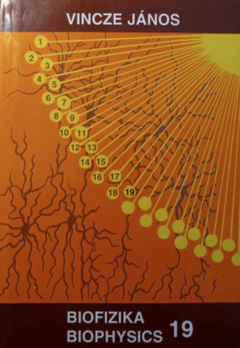 Vincze János - Biofizika 19 Biophysics