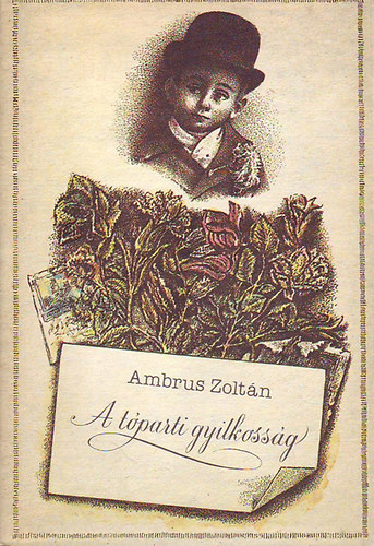 Ambrus Zoltán - A tóparti gyilkosság Kisregények