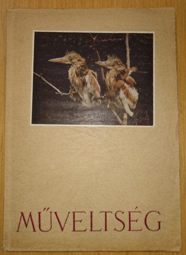 Kaffka Margit - Műveltség - Kaffka Margit kiadatlan naplója