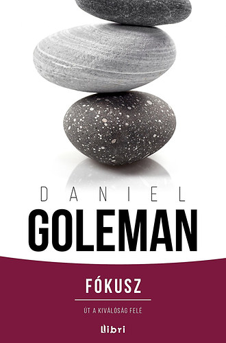 Daniel Goleman - Fókusz