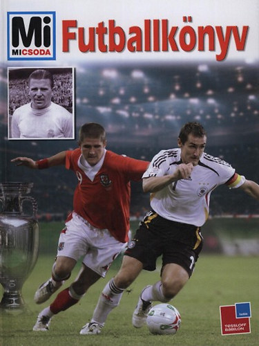 Christoph Bausenwein - Futballkönyv (Mi Micsoda - Uli Knauer illusztrációival)