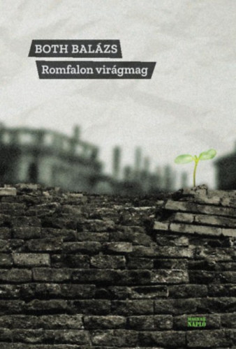 Both Bal�zs - Romfalon vir�gmag