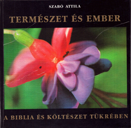 Természet és az ember - A Biblia és költészet tükrében