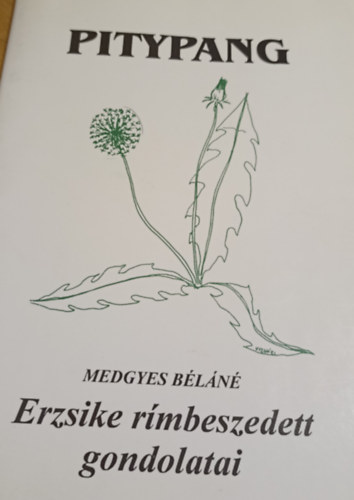 Medgyes Béláné - Erzsike rímbeszedett gondolatai