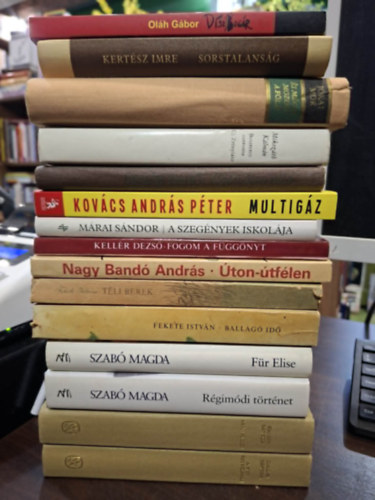 Kertész Imre, Jókai Mór, Mikszáth Kálmán, Urbán Ernő, Kovács András Péter, Márai Sándor, Kellér Dezső, Nagy Bandó András, Fekete István, Dallos Sándor Oláh Gábor - 14 db regény 15 kötetben, KÖNYVMENTŐ AJÁNLAT: Díszbogár, Sorstalanság, És mégis mozog a föld, Beszterce ostroma- Új Zrínyiász, Kemény dió, Multigáz, A szegények iskolája, Fogom a függönyt, Úton-útfélen, Téli berek, Ballagó i