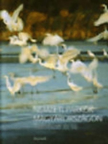 Kalots Zoltn - Nemzeti parkok Magyarorszgon