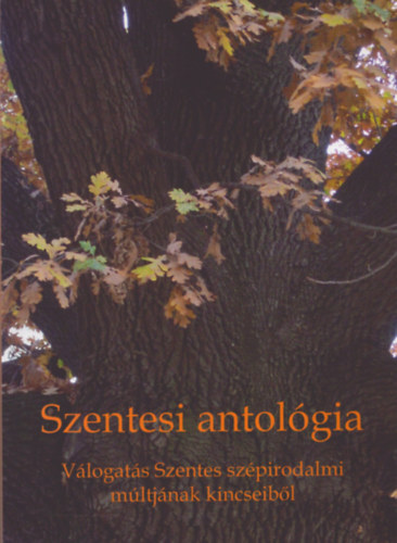 Vgvlgyi Zoltn - Szentesi antolgia - vlogats Szentes szpirodalmi mltjnak kincseibl