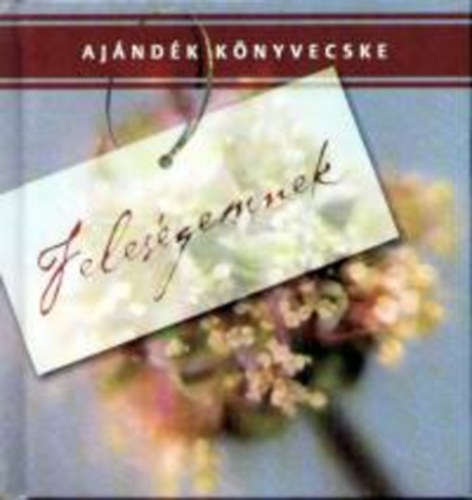 Dr. Balogh J�zsef - Feles�gemnek