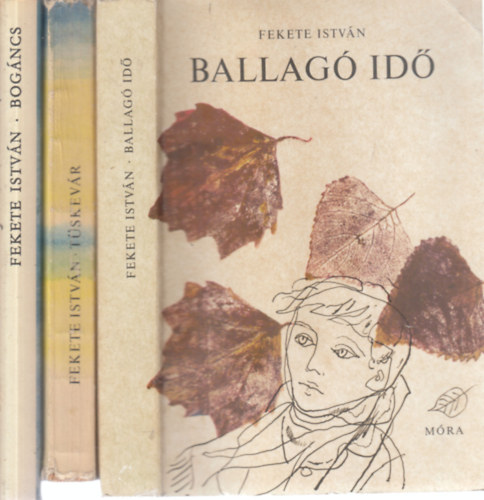 Fekete Istvn - 3 db. ifjsgi regny (Ballag id + Tskevr + Bogncs)