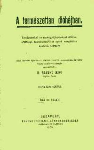 B. Bessk Jen - A termszettan dihjban