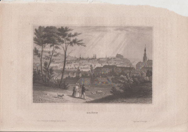 Brnn (Brno vros, Csehorszg, Eurpa) (16x23,5 cm lapmret eredeti aclmetszet, 1856-bl)