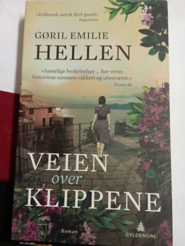 Goril Emilie Hellen - Veien over Klippene