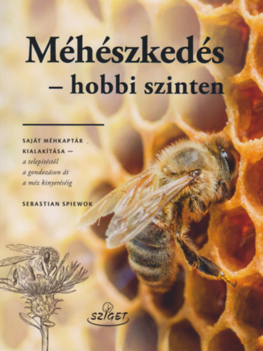 Sebastian Spiewok - Mhszkeds - hobbi szinten