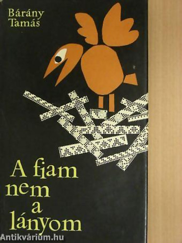 Brny Tams - A fiam nem a lnyom