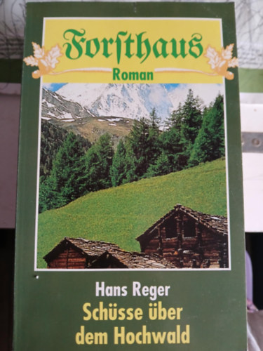Hans Reger - Schüsse über dem Hochwald