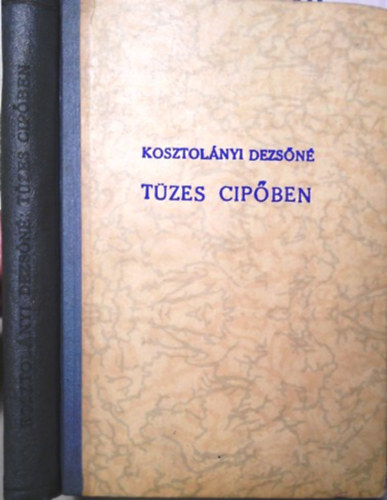 Kosztol�nyi Dezs�n� - T�zes cip�ben (I. kiad�s)