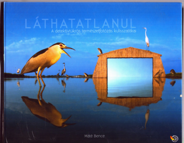 M�t� Bence - L�thatatlanul - a detekt�vt�kr�s fot�z�s kulisszatitkai