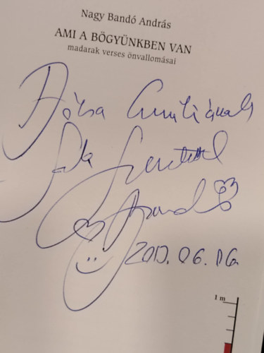 Nagy Band Andrs - Ami a bgynkben van