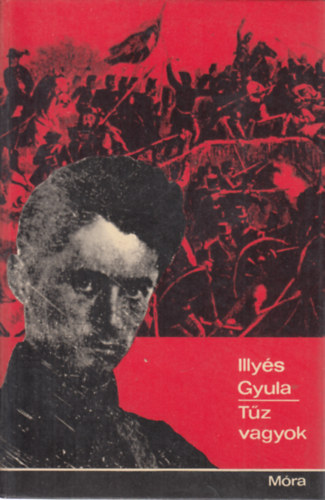 Illy�s Gyula - T�z vagyok...    (m�sodik kiad�s)   - N�h�ny fekete-feh�r reprodukci�t tartalmaz.