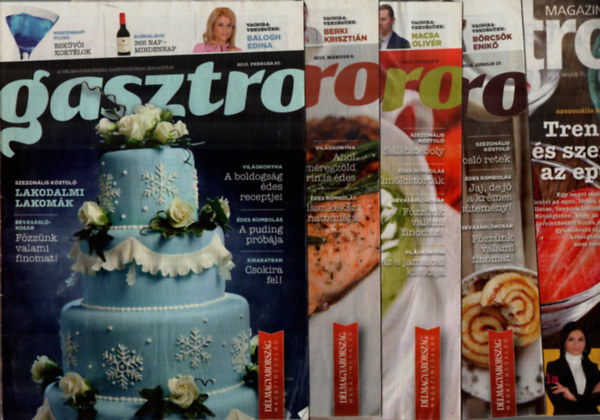 Lvay Gizella  (szerk.) - Dlmagyarorszg Gasztro magazin 2013. vfolyam. -(19 db)